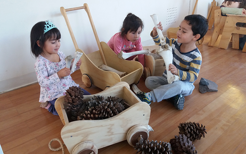 Jardín Infantil “Creciendo en Las Acacias” busca que niños y niñas sean amigos del medio ambiente