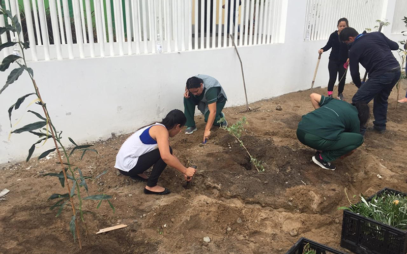 Apoderados del Jardín “El Oro” y Aguas Antofagasta arborizan el frontis del establecimiento
