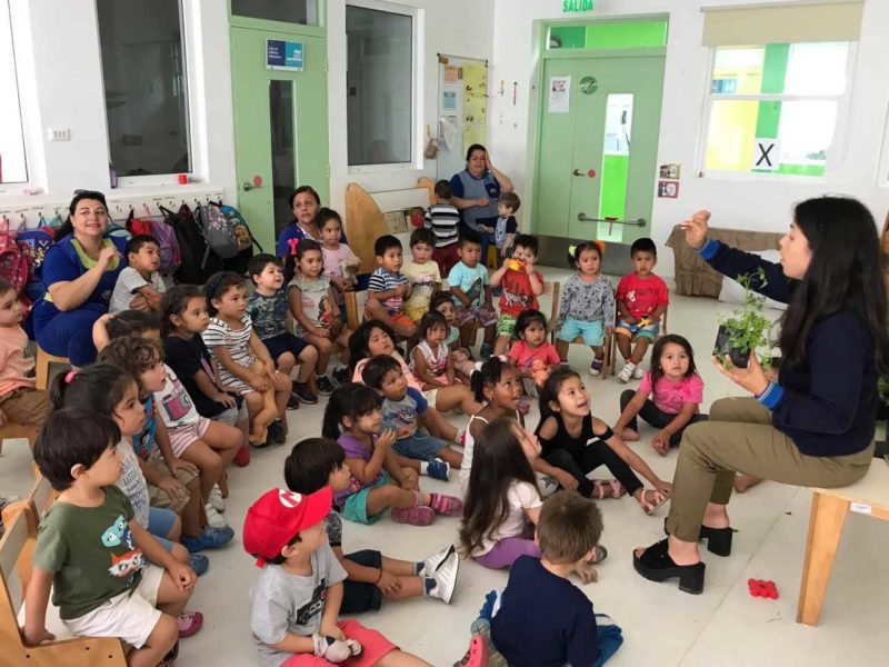 Niñas y niños del jardín infantil de verano participaron en entretenido taller botánico