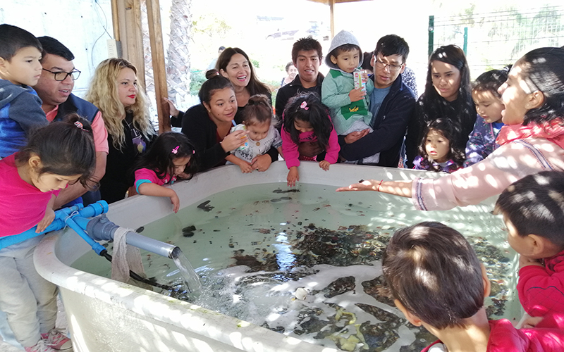 Potencian aprendizajes conociendo Museo del Mar en Iquique