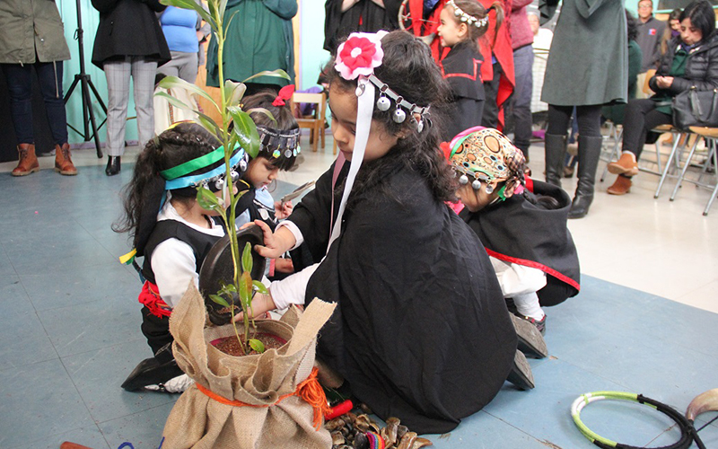 Junji inicia sus celebraciones de We Tripantu en diversos jardines de la región de Aysén