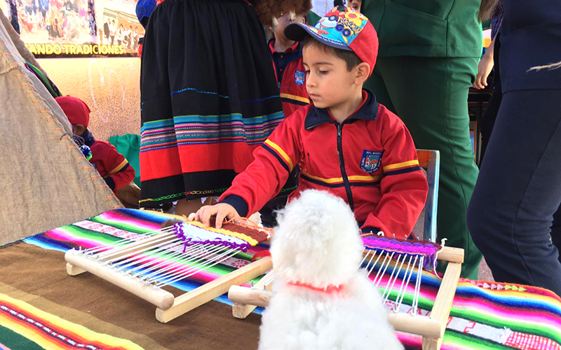 Jardines de Arica participan en Muestra Intercultural de Educación Parvularia