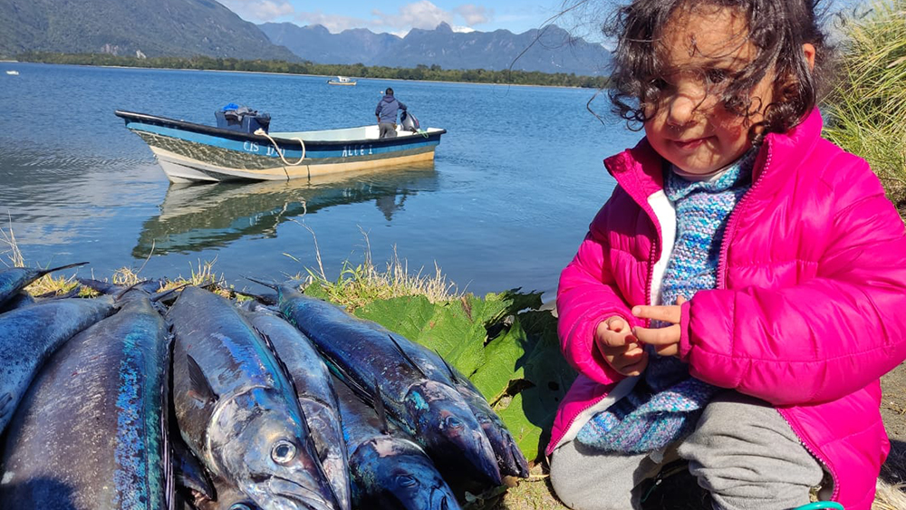 Niños y niñas de Junji Aysén vuelven a sus actividades pedagógicas este 24 de julio